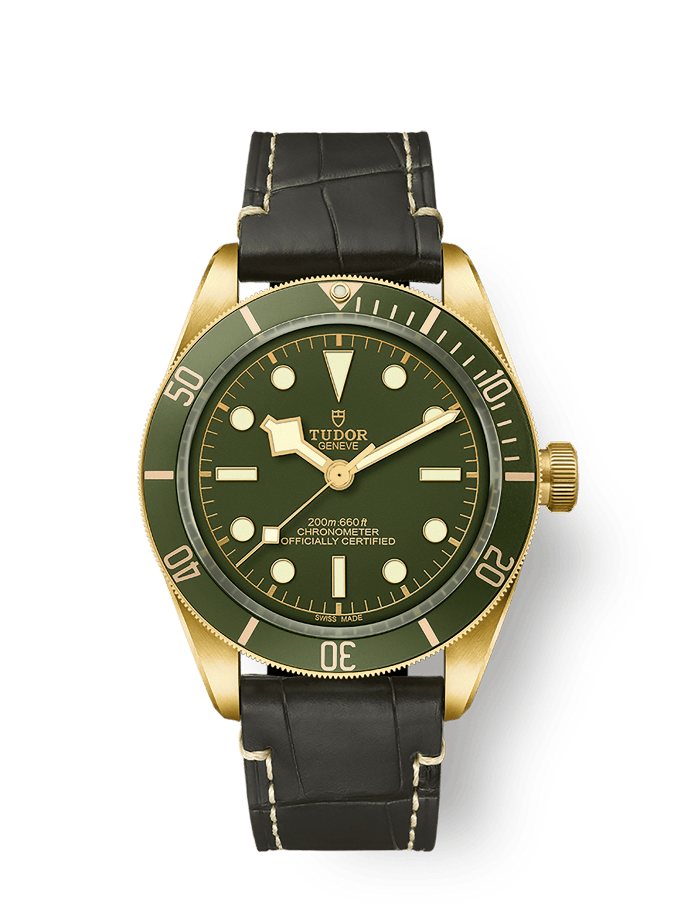 Tudor Black Bay 58 18K 79018V