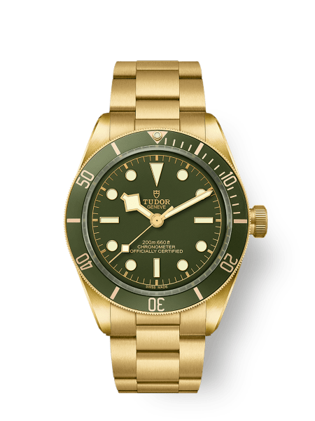 Tudor Black Bay 58 - m79018v-0006