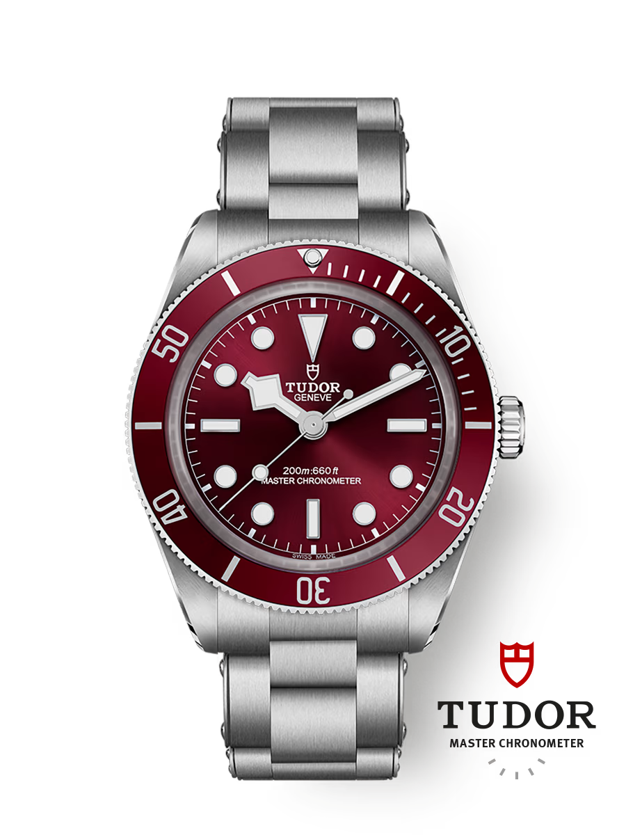 Tudor Black Bay 58 - m7939a1a0ru-0002