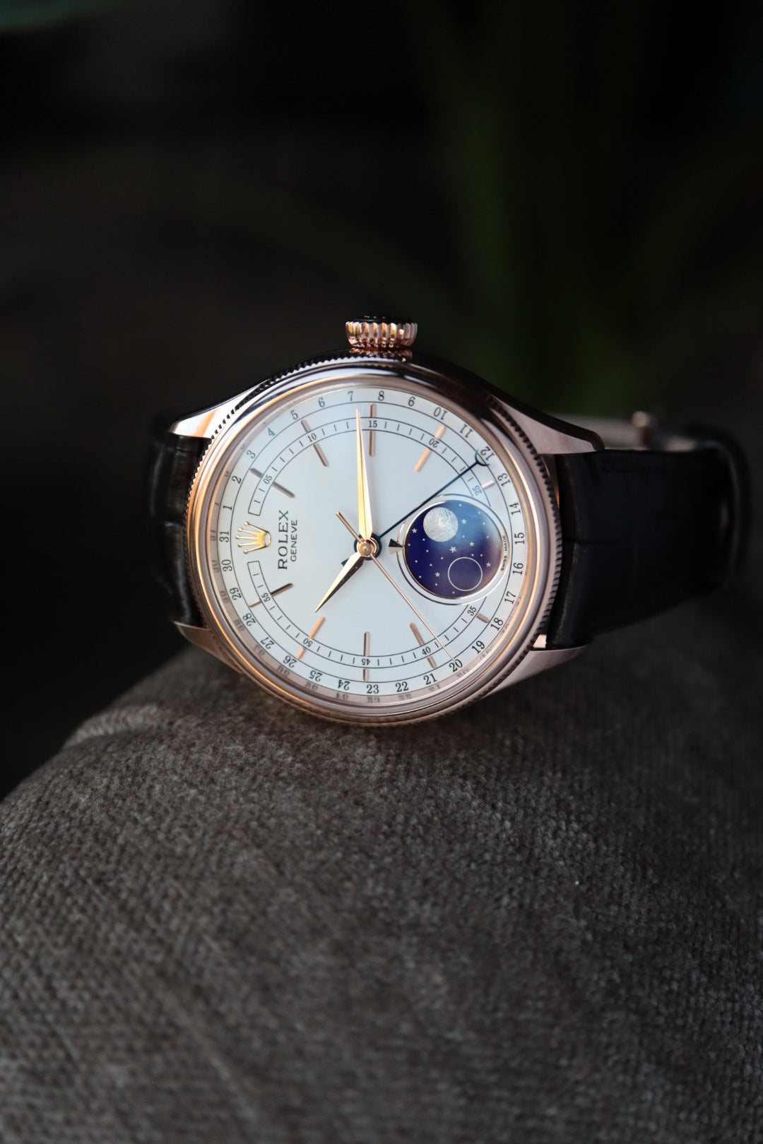 Rolex Cellini Moonphase 50535 (2021, new full set)