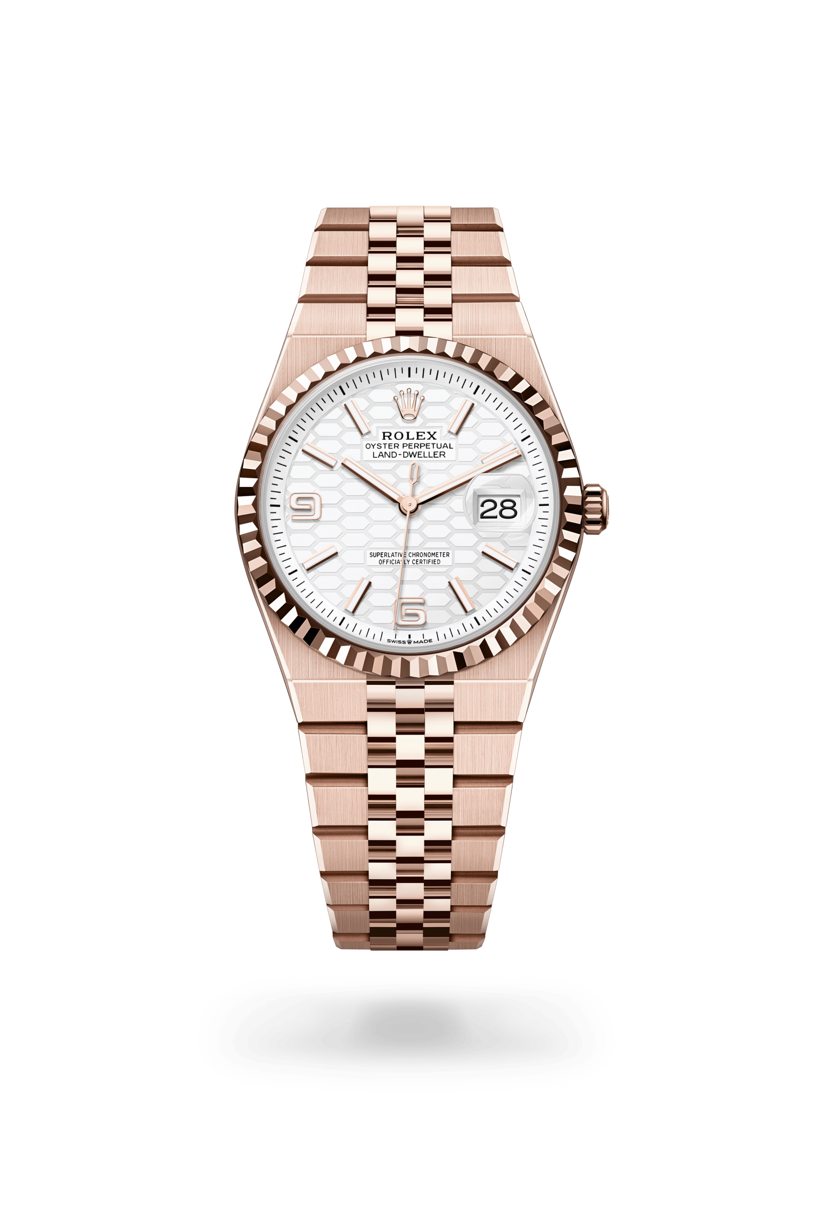 Land-Dweller 36, Oyster, 36 mm, Everose-goud, Wijzerplaat : Hagelwit, honingraatmotief, Rolex