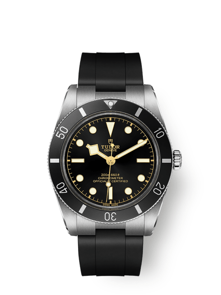 Tudor Black Bay 54 - m79000n-0002