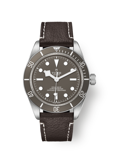 Tudor Black Bay 58 - m79010sg-0001