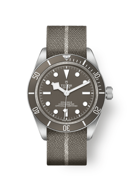 Tudor Black Bay 58 - m79010sg-0002