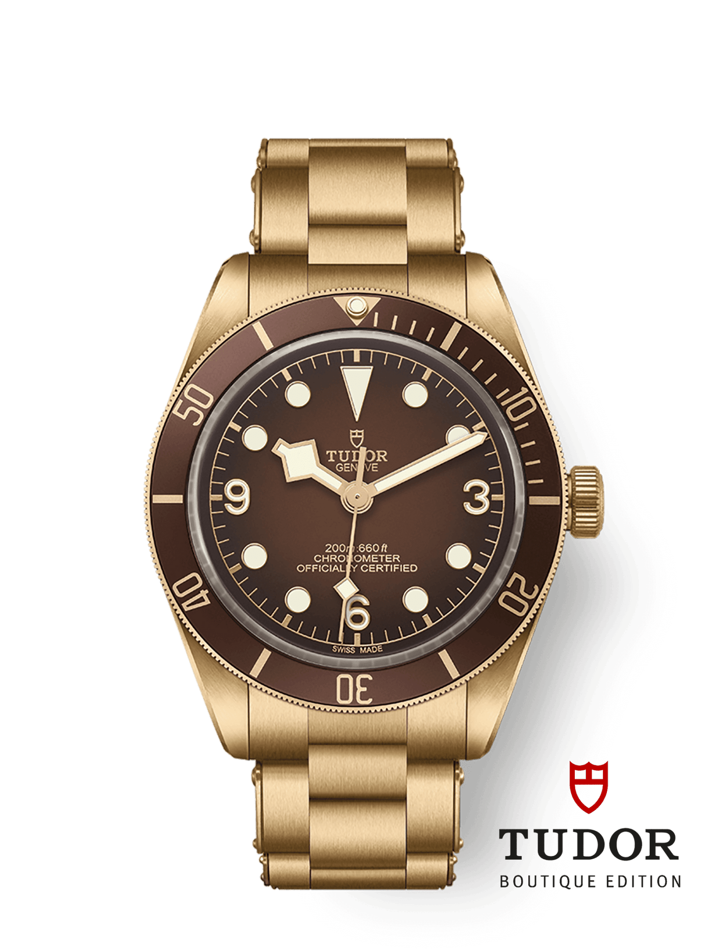Tudor Black Bay 58 Bronze 79012M