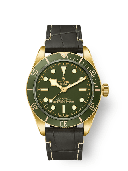 Tudor Black Bay 58 - m79018v-0001