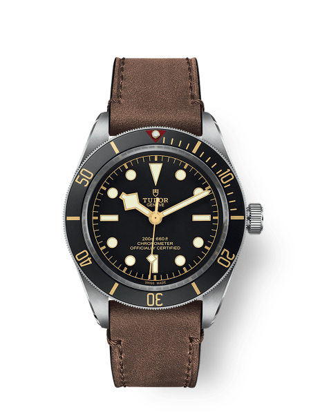 Tudor Black Bay 58 - m79030n-0002