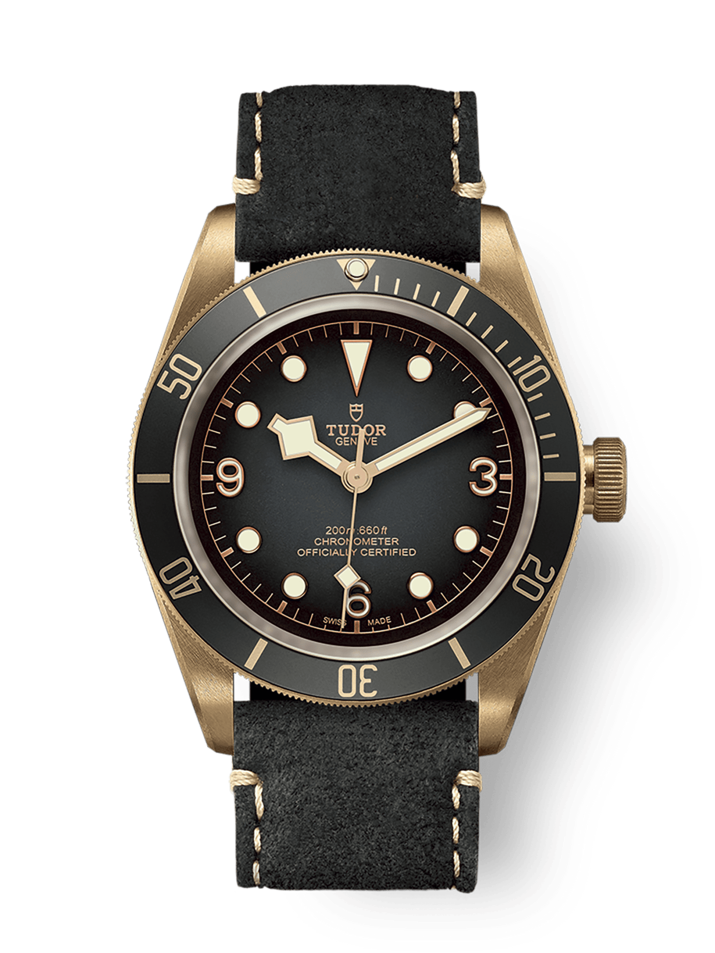 Tudor Black Bay Bronze 79250BA