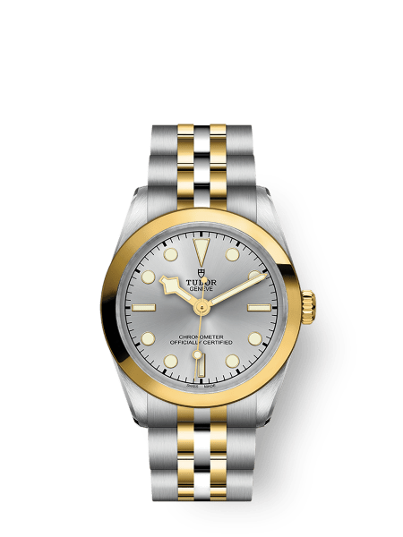 Tudor Black Bay 31 - m79603-0002