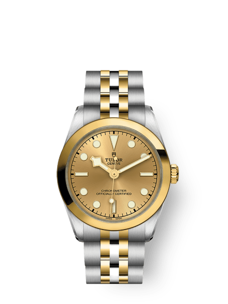 Tudor Black Bay 31 - m79603-0005