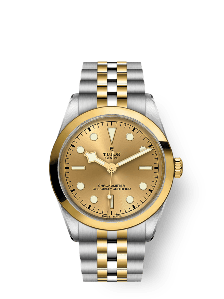 Tudor Black Bay 36 - m79643-0005