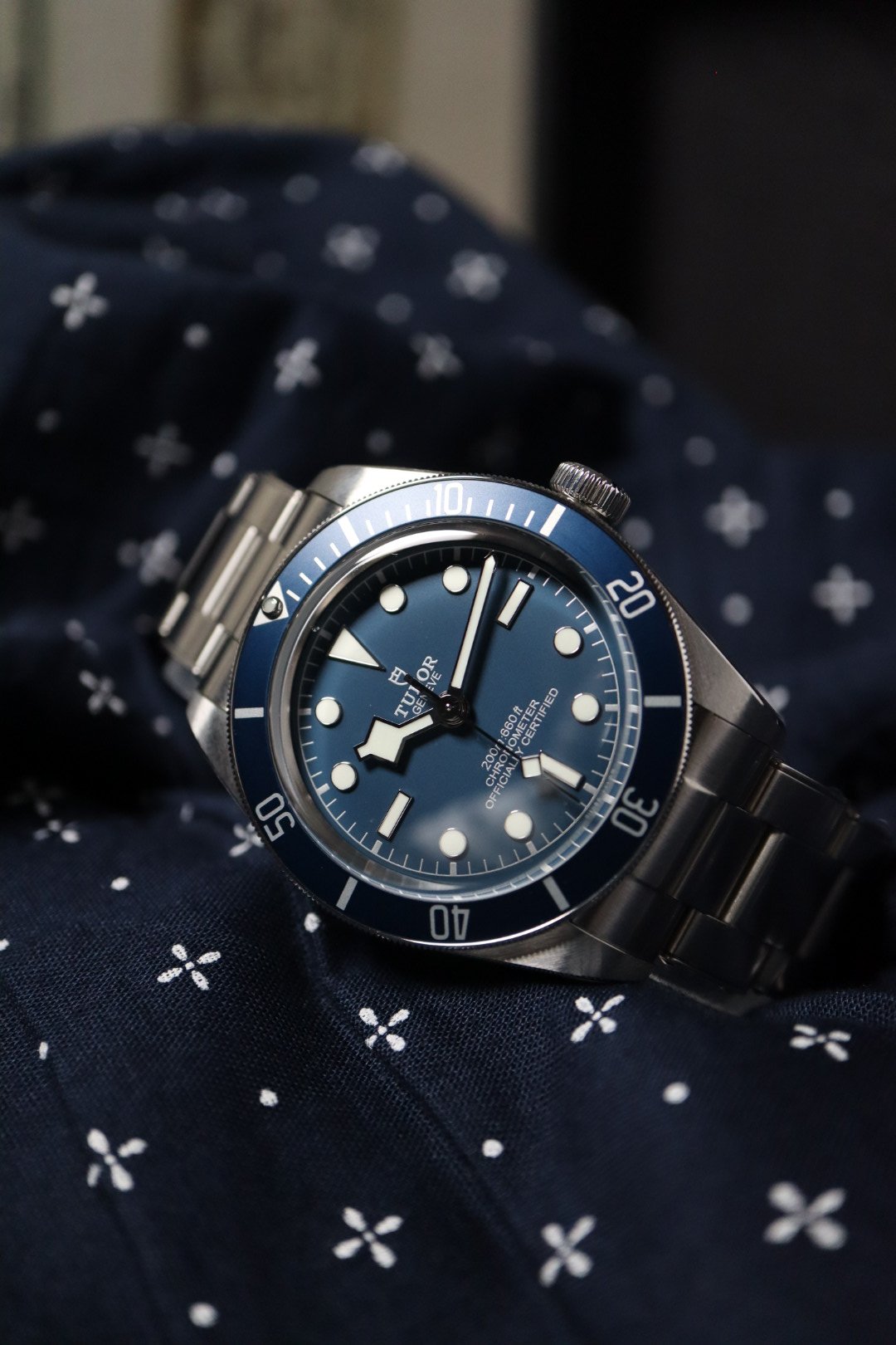 Tudor Black Bay 58 79030B (MINT 2022)